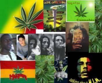 fred ,bob et ses potes lol