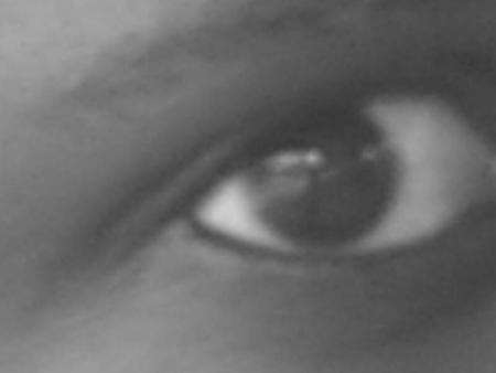 oeil